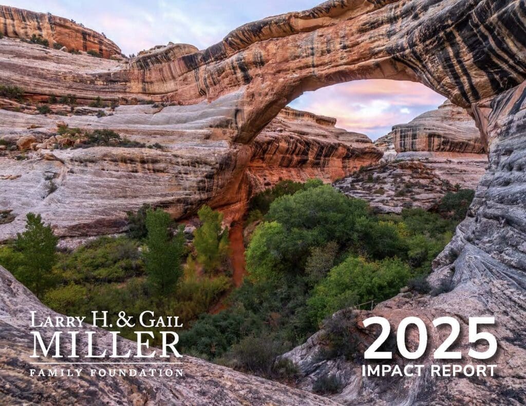 2025 cover